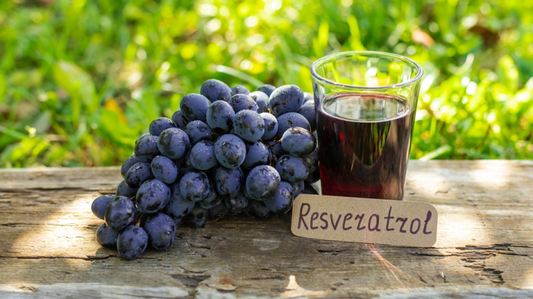 Tudományos tévedések – Ideje javítani 2.