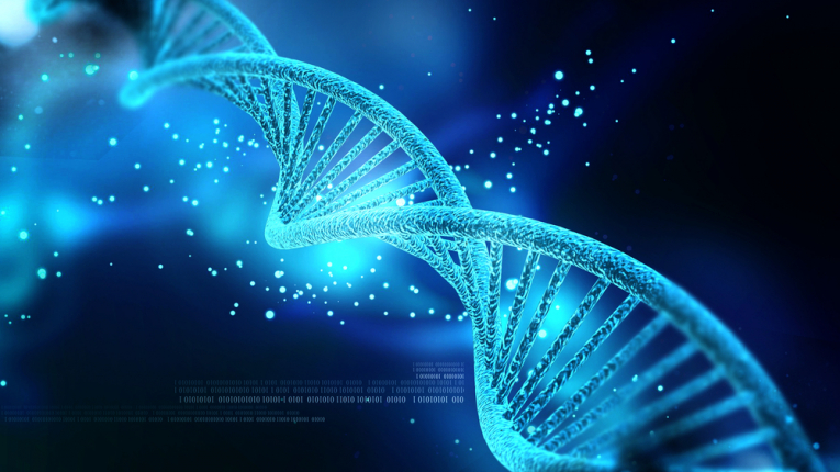 Mit határoz meg a DNS
